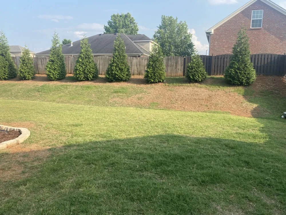 Local landscape design for year-round maintenance across Huntsville, AL - Mr Turf