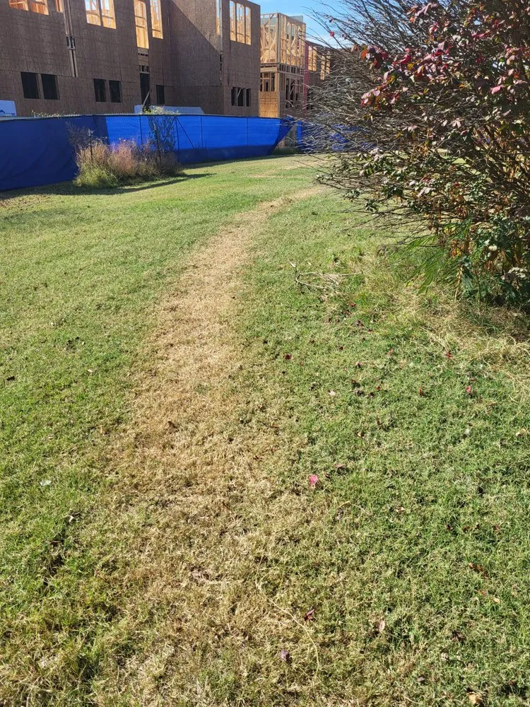 Affordable residential landscaping for year-round maintenance across Huntsville, AL - Mr Turf