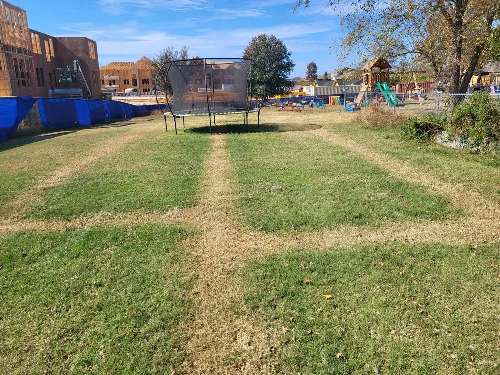 Affordable landscaping services for beautiful yards across Huntsville, AL - Mr Turf