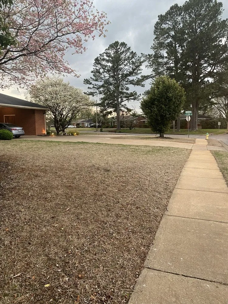 Affordable lawn care service experts serving Huntsville, AL - Mr Turf