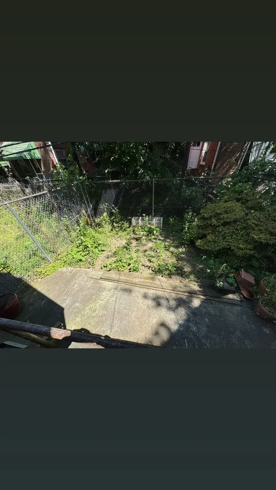 Reliable residential landscaping for outdoor upgrades across Philadelphia, PA - Mr Versatile Handyman Services