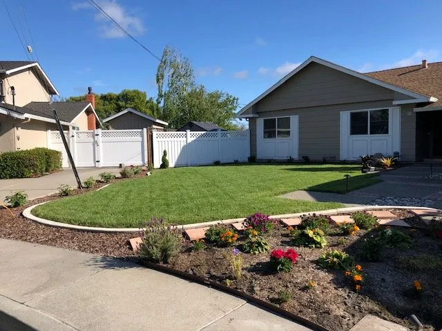 Top-rated lawn care service in Hayward, CA - Mr VO landscapers