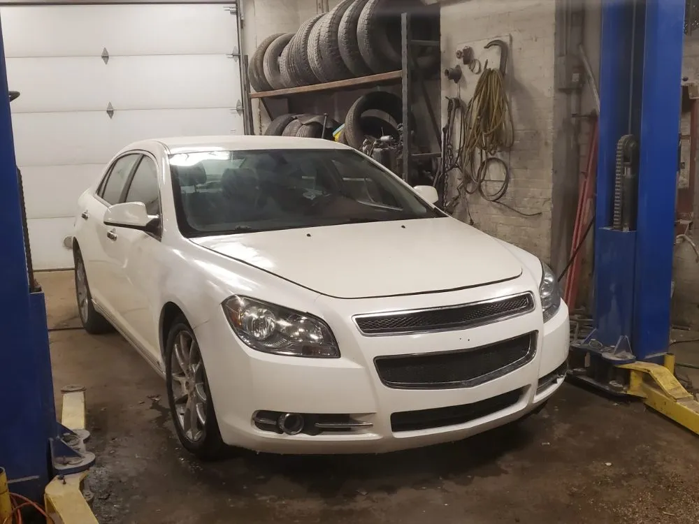 Trusted garden landscaping experts serving Garfield Heights, OH - Mr V's photography