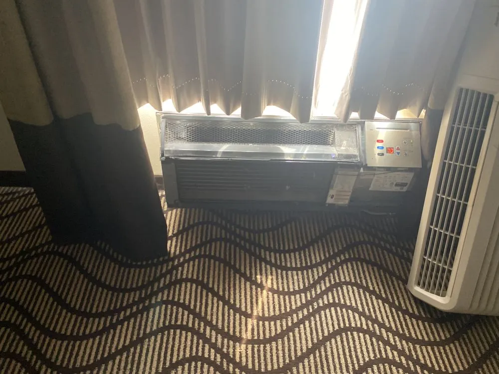 Professional yard cleanup service in Patterson, LA by Mr Watson's Lawn Service