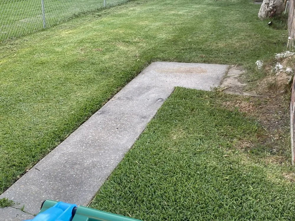 Top-rated yard maintenance in Patterson, LA - Mr Watson's Lawn Service
