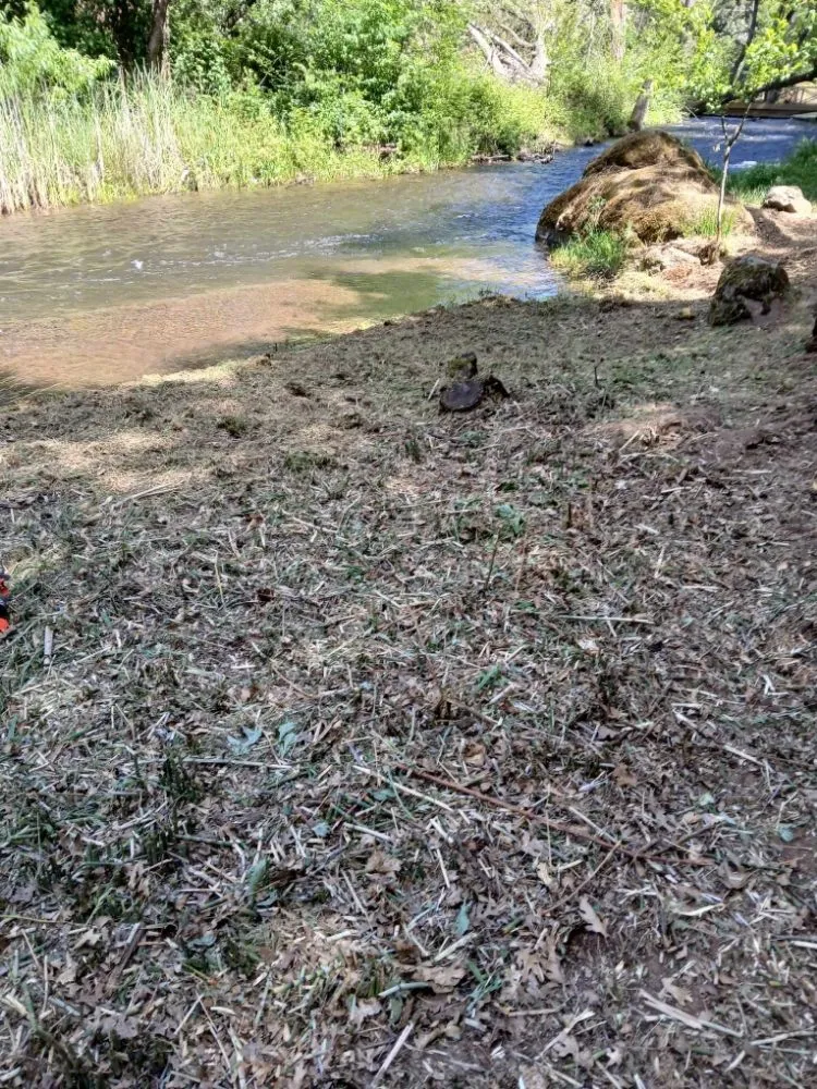 Top-rated landscape design in Red Bluff, CA by MR Wilsons' Lawncare and Honey Do's