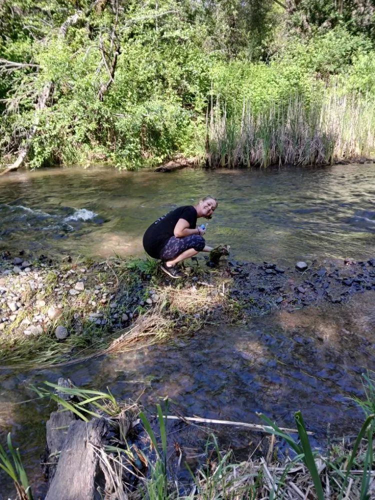 Local garden landscaping in Red Bluff, CA - MR Wilsons' Lawncare and Honey Do's