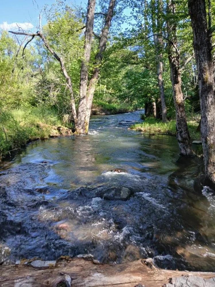 Reliable garden landscaping in Red Bluff, CA by MR Wilsons' Lawncare and Honey Do's