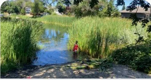 Professional garden landscaping near you in Red Bluff, CA by MR Wilsons' Lawncare and Honey Do's