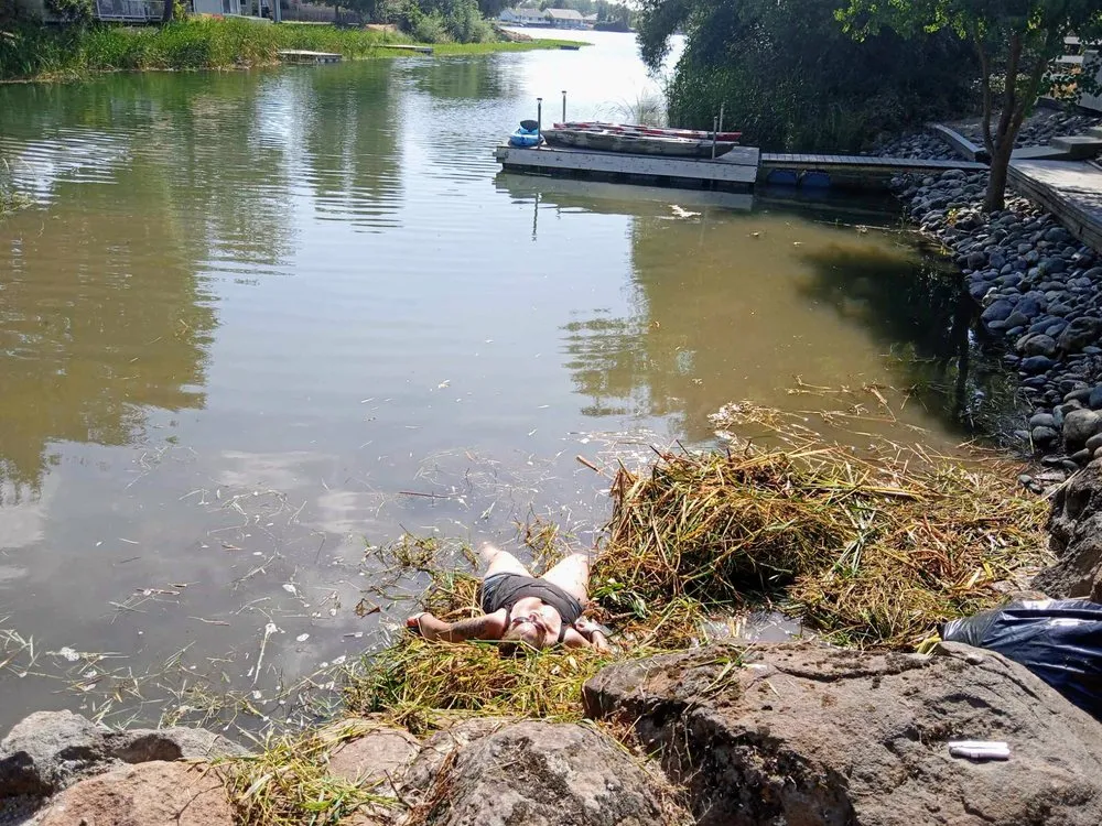 Expert yard cleanup service in Red Bluff, CA - MR Wilsons' Lawncare and Honey Do's