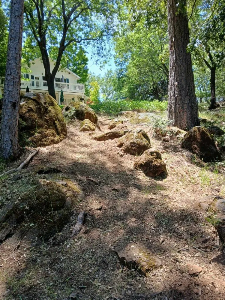 Affordable outdoor landscaping experts serving Red Bluff, CA - MR Wilsons' Lawncare and Honey Do's