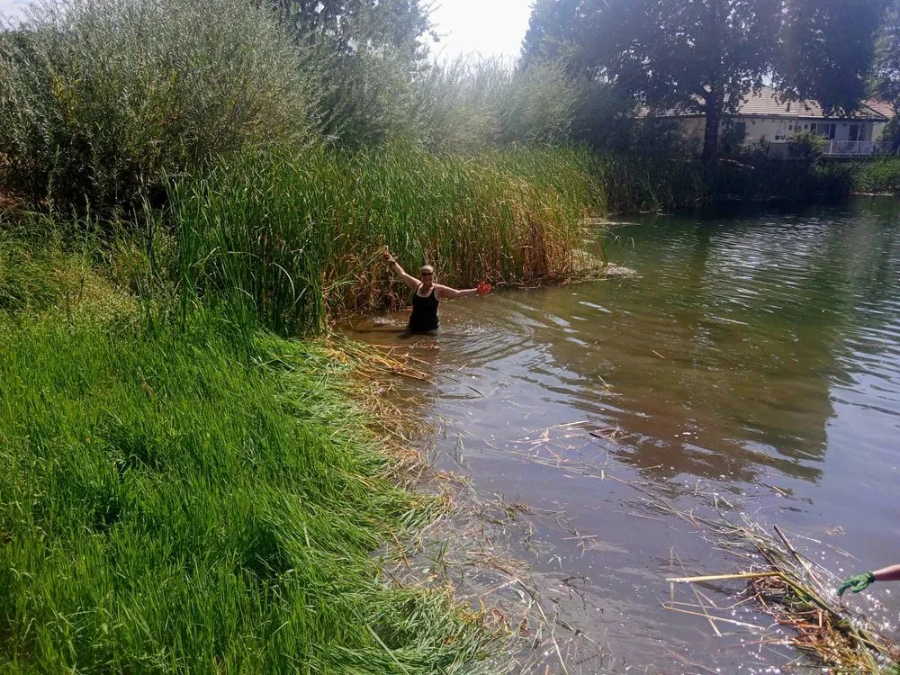 Expert lawn mowing service for homes across Red Bluff, CA - MR Wilsons' Lawncare and Honey Do's