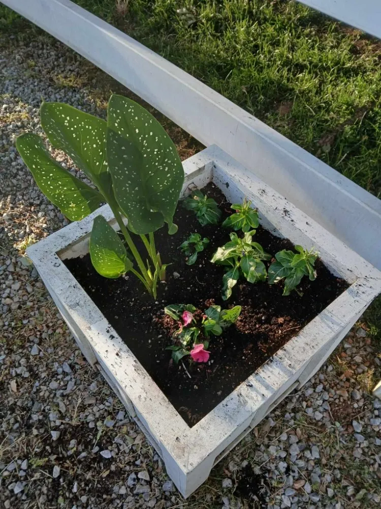 Custom landscape installation in Red Bluff, CA - MR Wilsons' Lawncare and Honey Do's