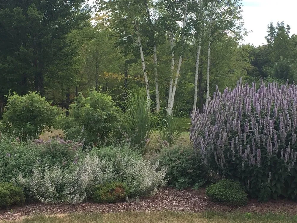 Trusted lawn mowing service in Washburn, WI - Mr Window