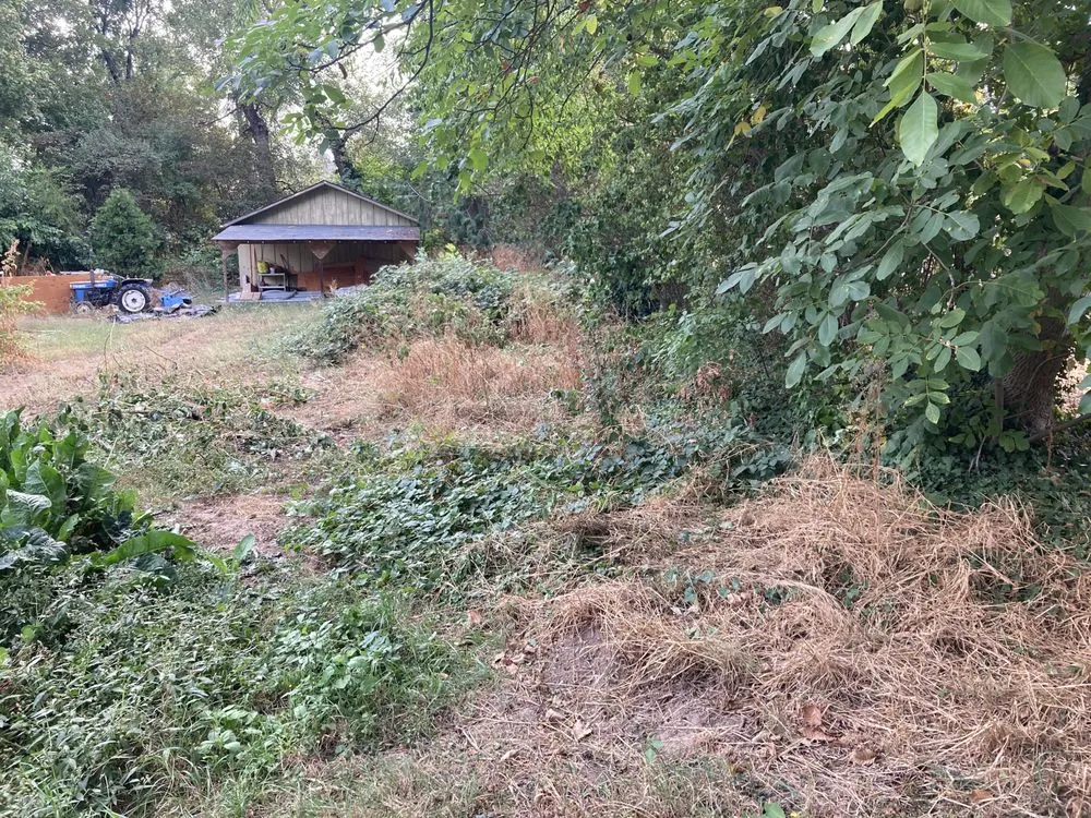 Custom residential landscaping for homes across Medford, OR - Mr Wrights Brush Clearing