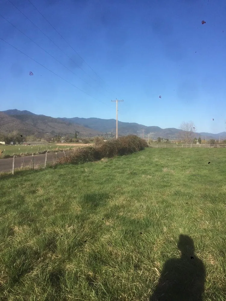 Local lawn mowing service in Medford, OR - Mr Wrights Brush Clearing