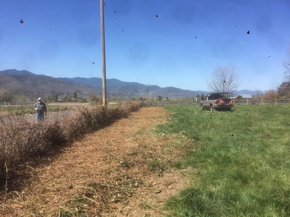 Trusted outdoor landscaping in Medford, OR - Mr Wrights Brush Clearing