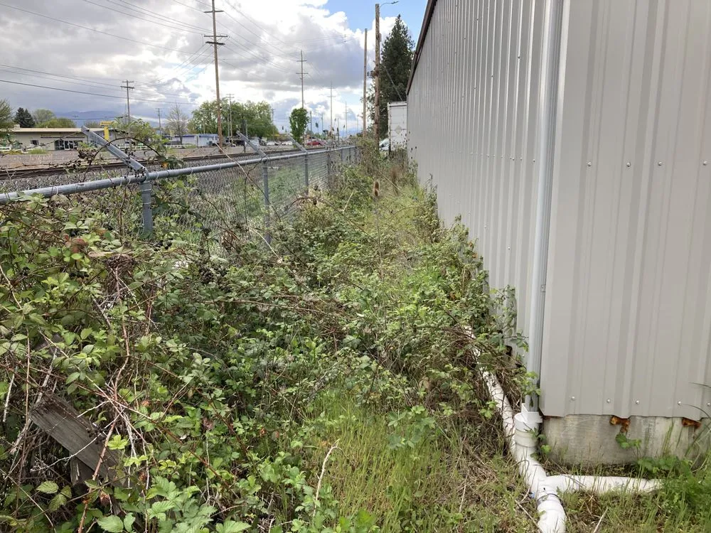 Professional landscape installation in Medford, OR - Mr Wrights Brush Clearing