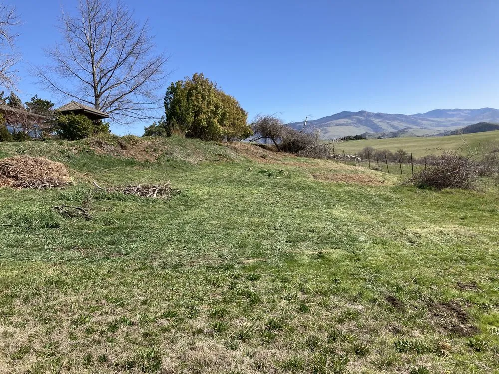 Affordable outdoor landscaping near you in Medford, OR by Mr Wrights Brush Clearing