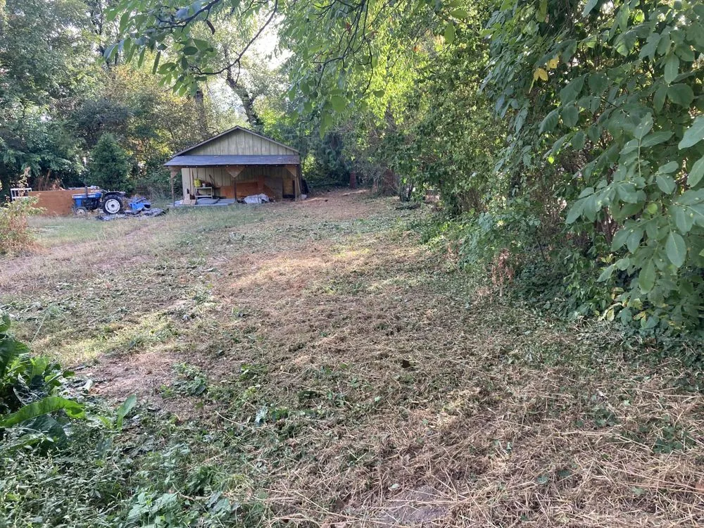 Trusted residential landscaping experts serving Medford, OR - Mr Wrights Brush Clearing