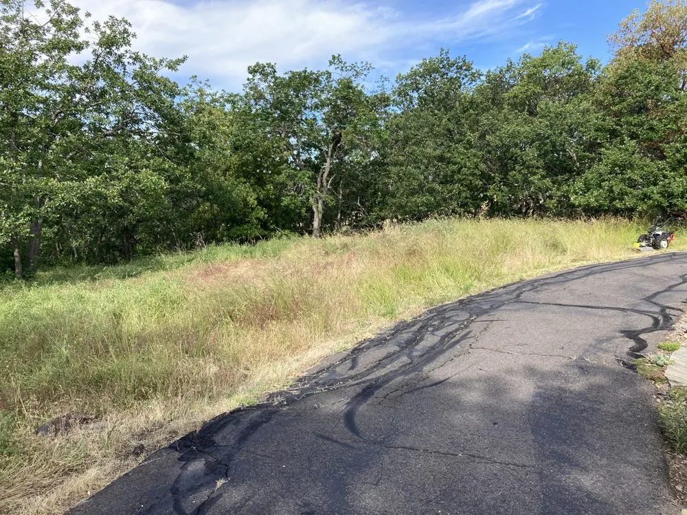 Expert lawn care service experts serving Medford, OR - Mr Wrights Brush Clearing