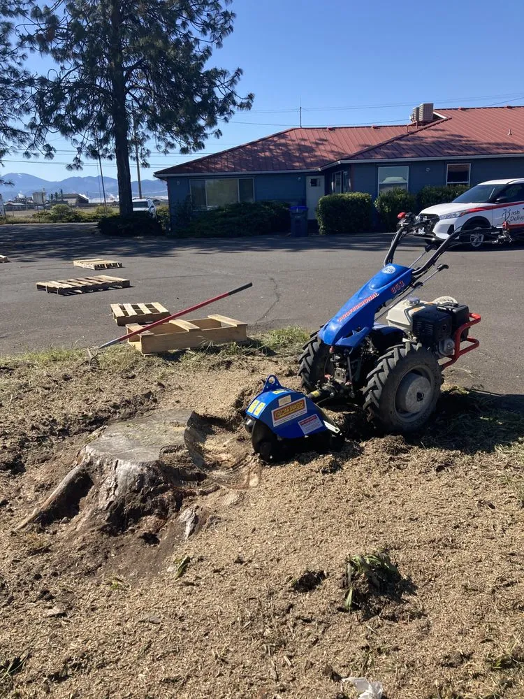 Top-rated lawn care service in Medford, OR by Mr Wrights Brush Clearing
