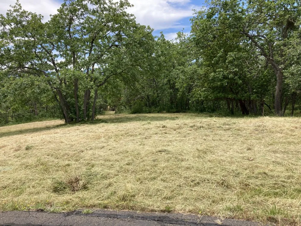 Local lawn care service in Medford, OR - Mr Wrights Brush Clearing