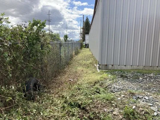 Mr Wrights Brush Clearing Logo