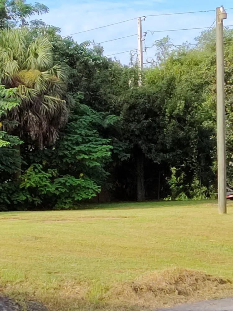 Affordable landscaping services for homes in Eustis, FL by Mr. Wright's Lawn