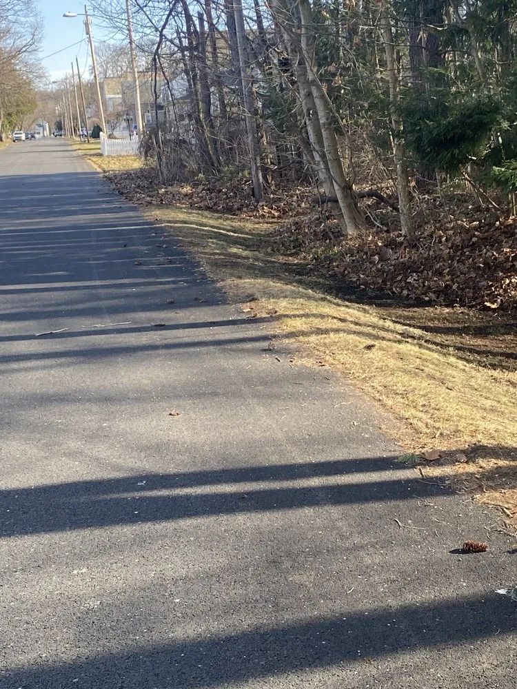 Affordable residential landscaping experts serving Amsterdam, NY - M&R Yard Work