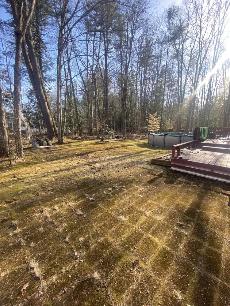 Local yard maintenance experts serving Amsterdam, NY - M&R Yard Work