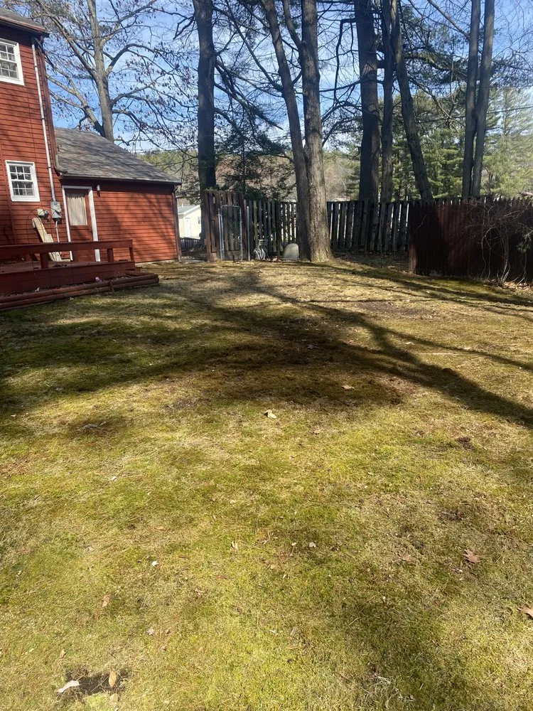 Affordable landscape design in Amsterdam, NY by M&R Yard Work