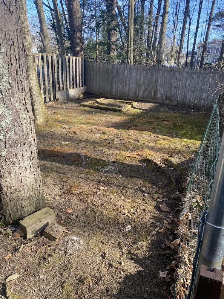 Top-rated outdoor landscaping for beautiful yards across Amsterdam, NY - M&R Yard Work