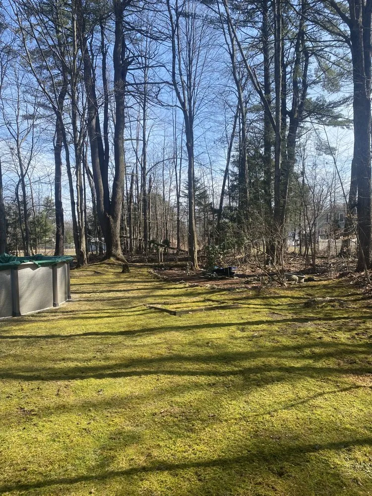 Expert garden landscaping experts serving Amsterdam, NY - M&R Yard Work