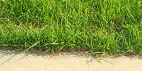 Custom residential landscaping experts serving Lincoln, NE - Mr Yards and More