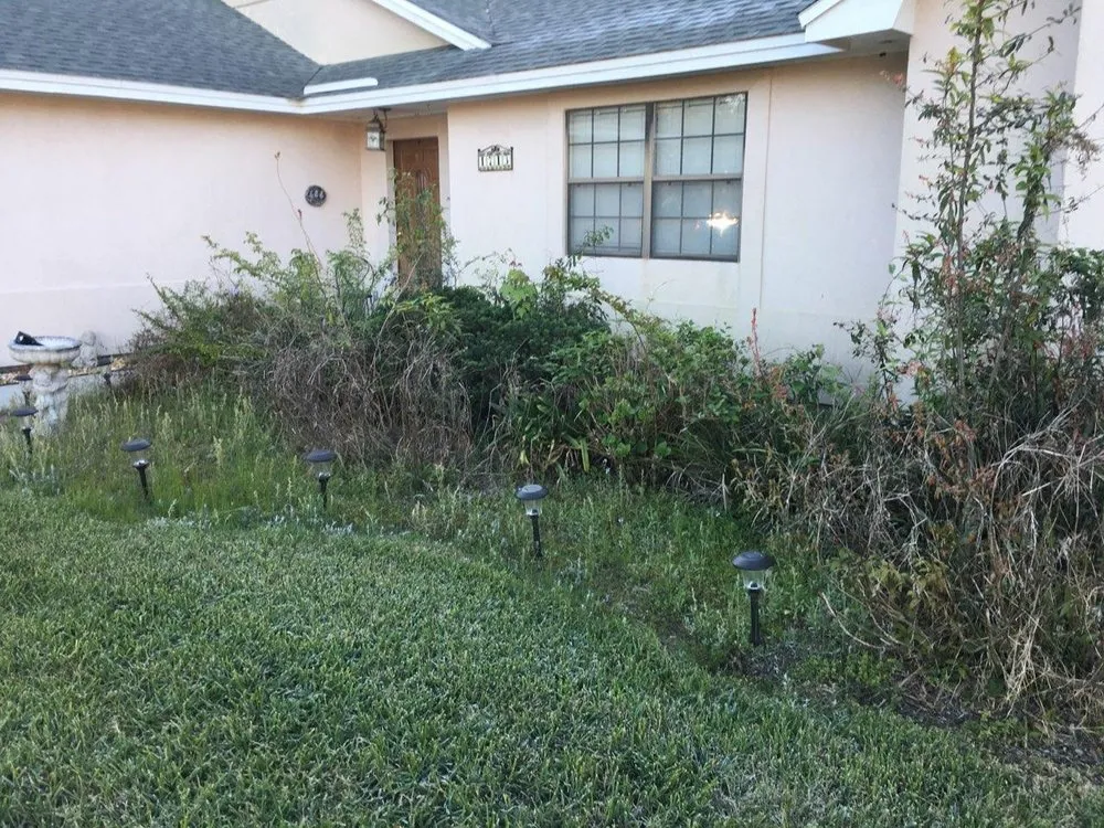 Expert yard maintenance in Fleming Island, FL by Mr.Bee's Lawncare