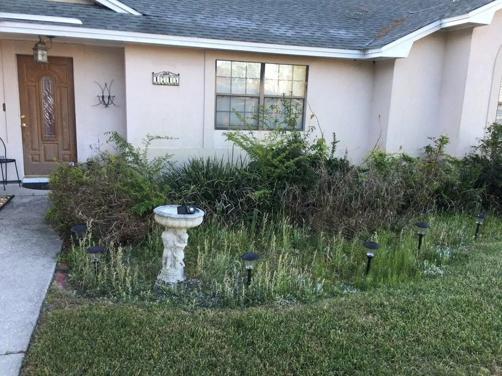 Reliable yard maintenance in Fleming Island, FL by Mr.Bee's Lawncare