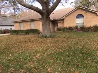 Reliable yard maintenance in Fleming Island, FL - Mr.Bee's Lawncare