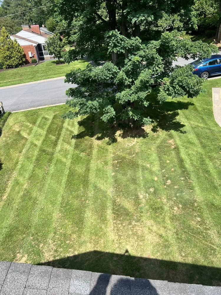 Reliable yard cleanup service for homes in Waynesboro, VA by Mrc Landscaping And Hardscaping