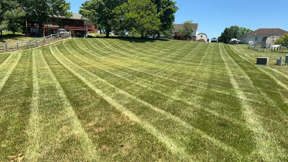 Expert yard cleanup service experts serving Waynesboro, VA - Mrc Landscaping And Hardscaping