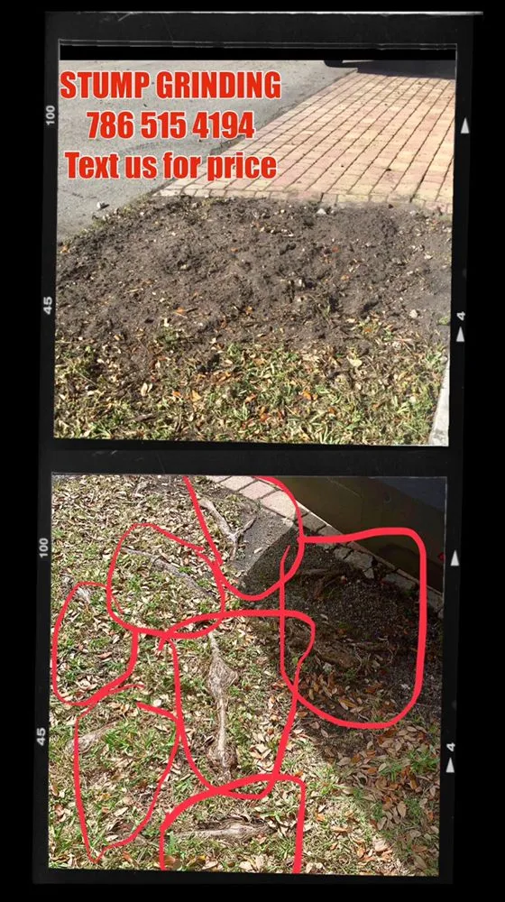 Professional residential landscaping for beautiful yards across Miami, FL - MRC LANDSCAPING