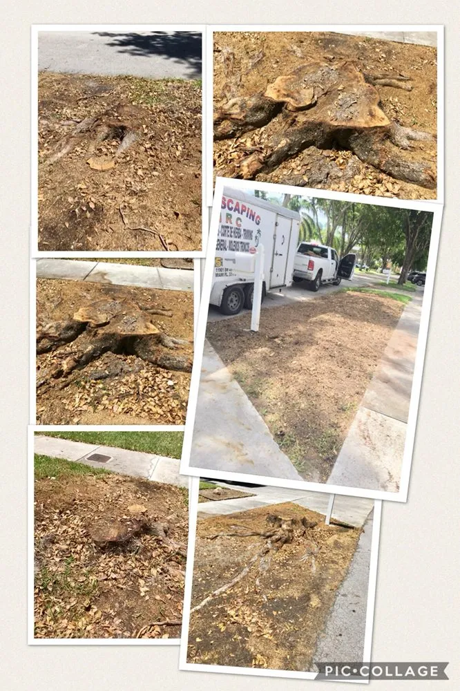 Trusted garden landscaping in Miami, FL by MRC LANDSCAPING