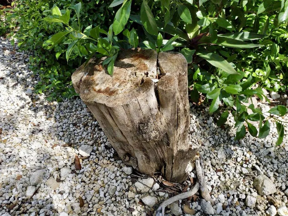 Affordable residential landscaping experts serving Miami, FL - MRC LANDSCAPING