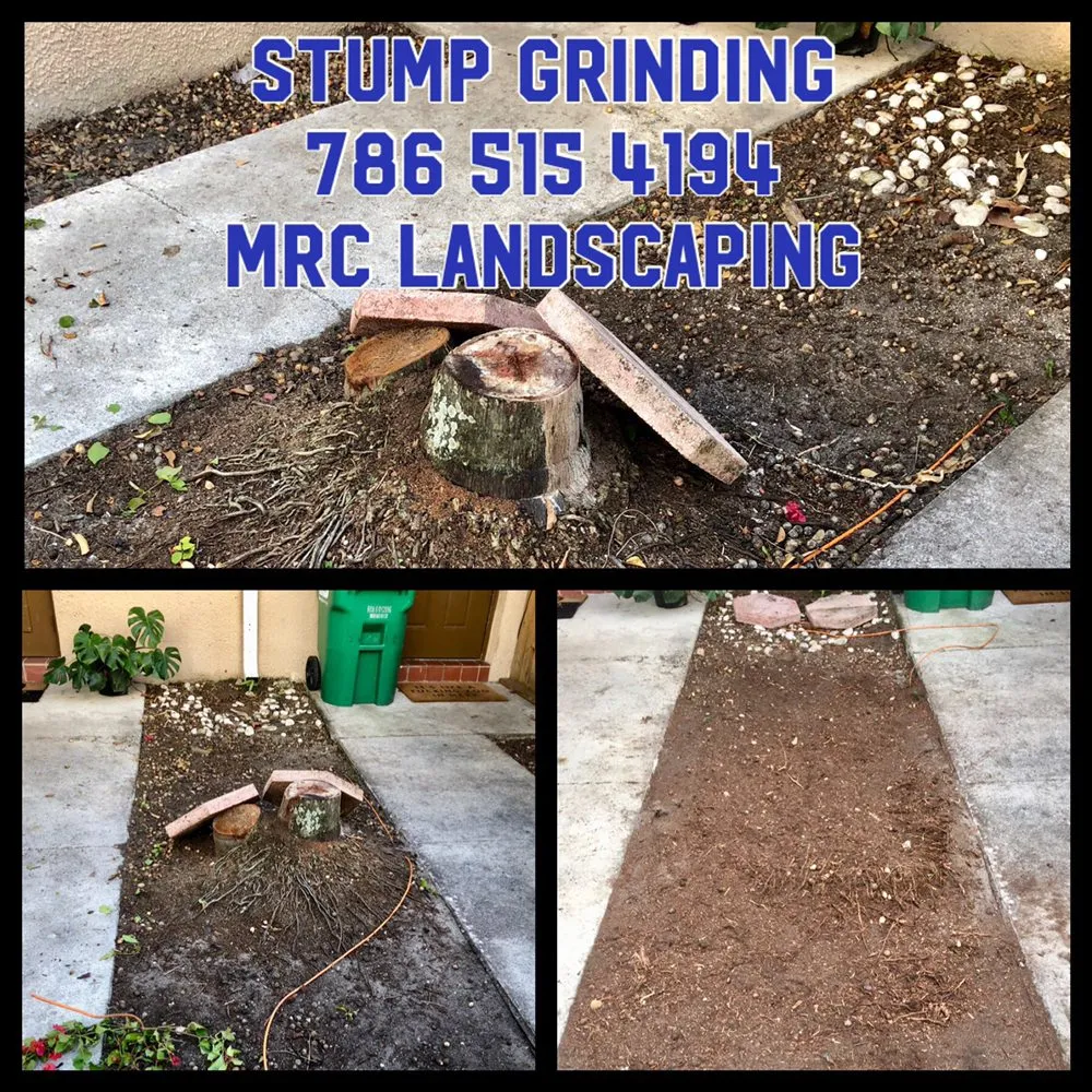 Reliable outdoor landscaping experts serving Miami, FL - MRC LANDSCAPING