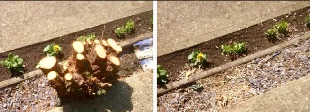 Trusted residential landscaping in Miami, FL - MRC LANDSCAPING