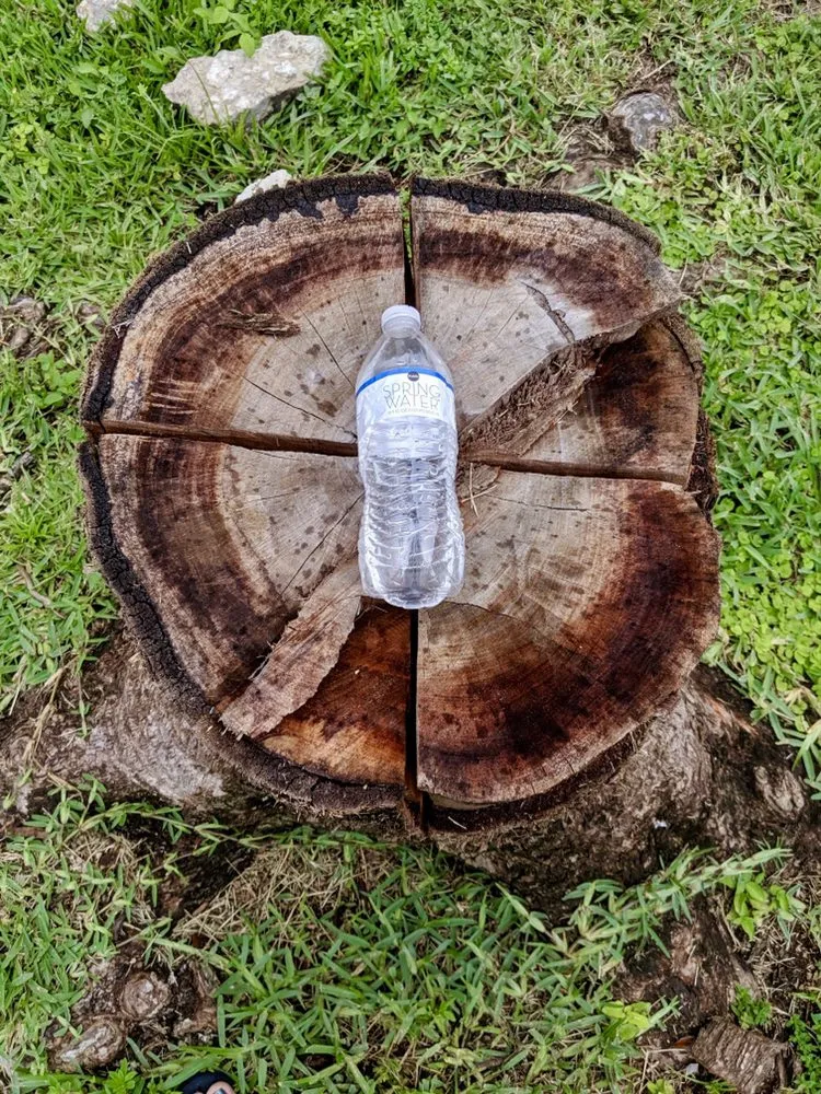 Affordable residential landscaping for residential properties in Miami, FL by MRC LANDSCAPING