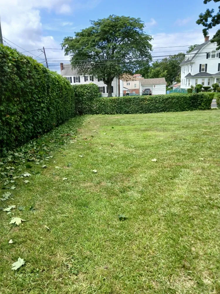 Custom landscaping services experts serving Windsor, CT - Mr.Cheap & Neat Landscaping and Detailing