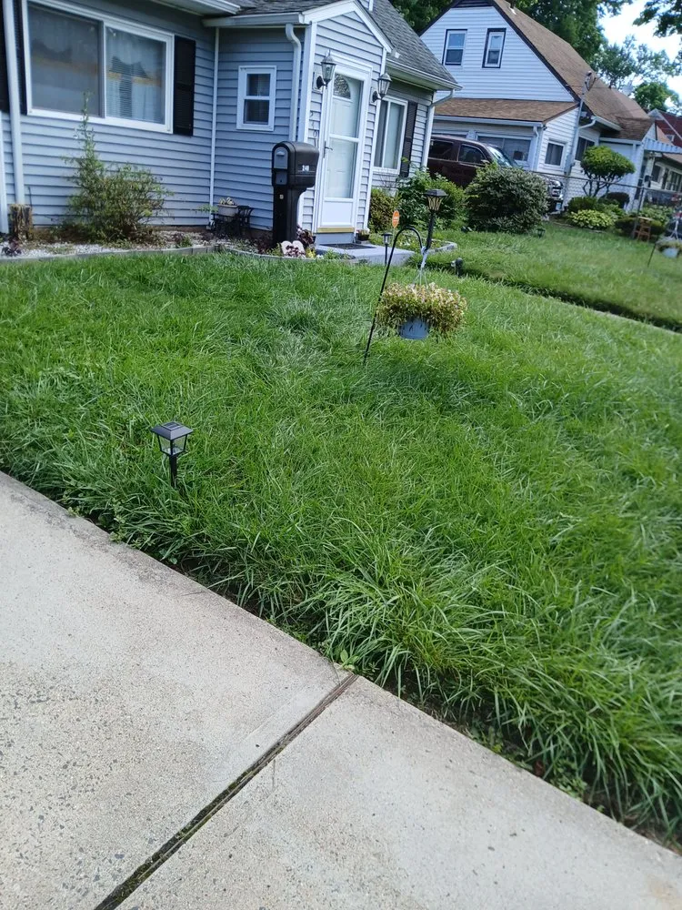 Professional yard cleanup service experts serving Windsor, CT - Mr.Cheap & Neat Landscaping and Detailing