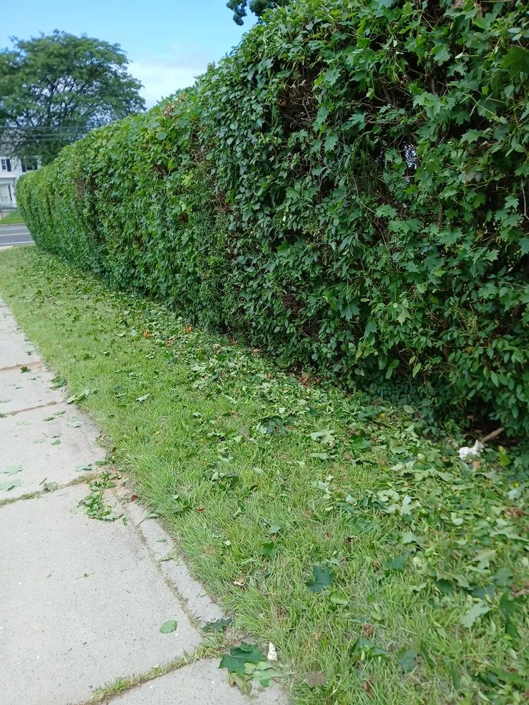 Reliable outdoor landscaping for residential properties across Windsor, CT - Mr.Cheap & Neat Landscaping and Detailing