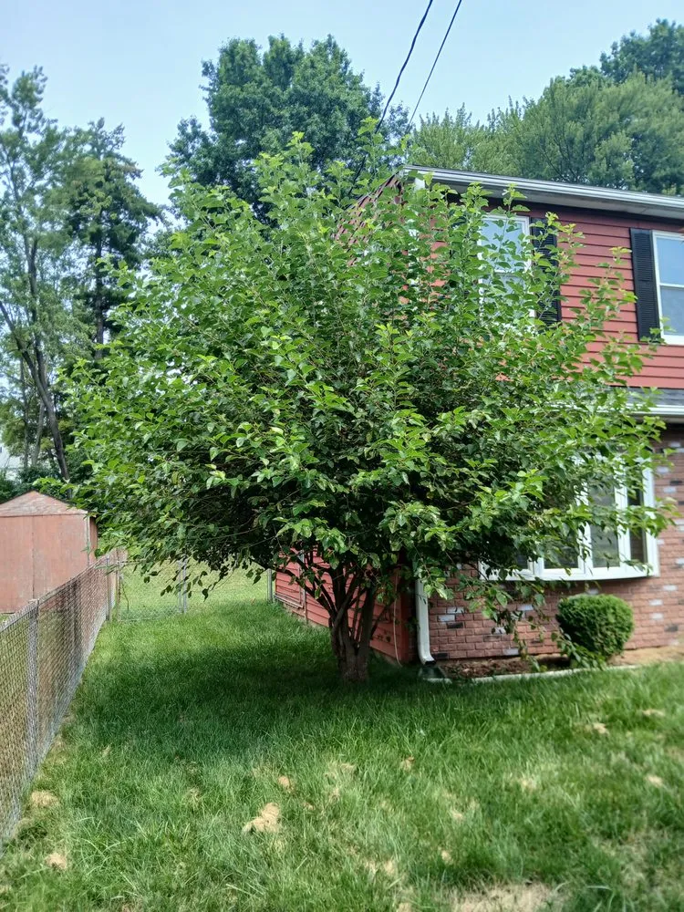 Top-rated landscape design in Windsor, CT - Mr.Cheap & Neat Landscaping and Detailing